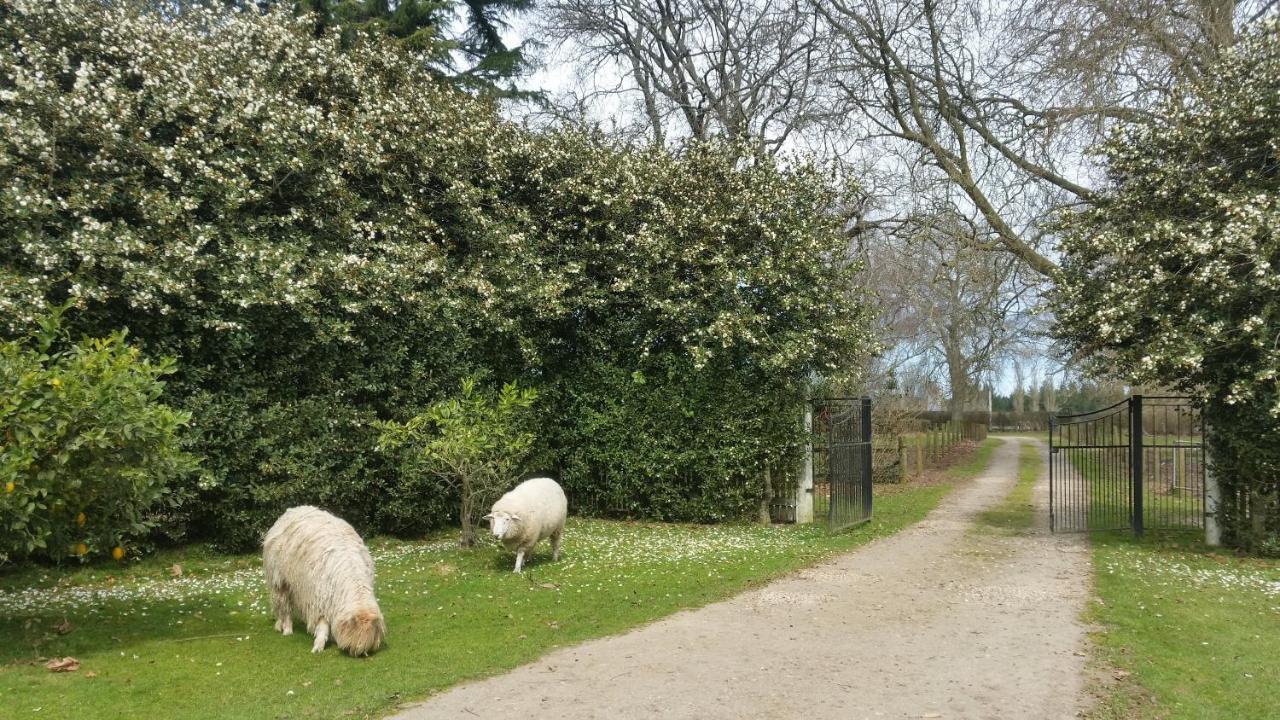 Homestead B&B Cambridge Kültér fotó